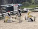 Pony francese 