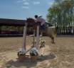 Pony da salto 