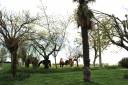 Proprietà equestre In vendita Tarn-et-Garonne