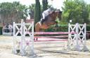 Arko, sella Italiano 2012!
