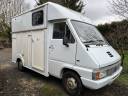 Van per Cavalli Renault Master 1991 Occasione