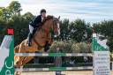 KWPN , castrone 7 anni da Emerald van ’t Ruytershof.