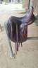 Sella da dressage Antarès  17.5" - 2018