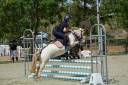 Castrone Altre Razze di Pony In vendita 2014 Altro colore