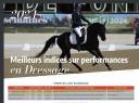 Stallone PFS Pony Francese da Sella In vendita 2020 Nero ,  UNDER COVER FAST