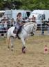 Cavalla CDE Caballo Deporte Espanol In vendita 2005 Grigio