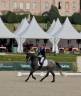 Cavalla KWPN Cavallo da Sport Neerlandese In vendita 2021 Grigio
