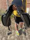 Sella da dressage Prestige Italia  17" - 2014