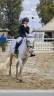 Vedo pony completista