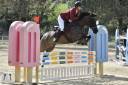 Super Pony da competizione 