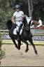 Pony da competizione 