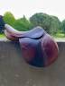 Sella mista Forestier  17" - 2012