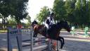cavallo salto ostacoli 125
