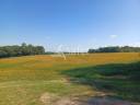 Azienda agricola In vendita Lot-et-Garonne