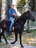 Castrone Lusitano In vendita 2007 Nero ,  VALSEUR RBO