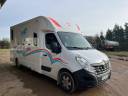 Van per Cavalli Theault Proteo  2019 Occasione