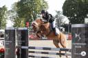 GOLBURY DES BERTAINES - Welsh Poney (Sezione B) 2016 ,  VINCE DIWAN