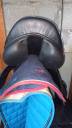 Sella da cross Rebelle  17" - 2024