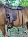 Sella western Continental  17.5" - 2016