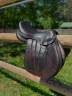 Sella mista Forestier  17.5" - 2021