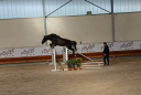 Intero Sella Francese In vendita 2022 Nero ,  Glasgow w vh merelsnest