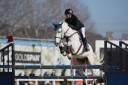 Vendita Cavallo Italiano 