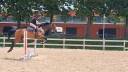 cavallo salto ostacoli 125