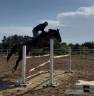 VENDO SELLA ITALIANO 5 ANNI