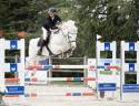 Stallone Connemara In vendita 2015 Grigio ,  DEXTER LEAM PONDY