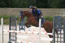 Cavalla PFS Pony Francese da Sella Noleggio 2010 Sauro ,  MELVIN CANDY