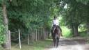 Cavalla Quarter Horse In vendita 2020 Grullo ,  JAZ GC DE PLATA