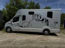 Van per Cavalli MTM  2014 Occasione