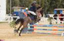 Super pony in vendita del 2011