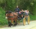 Attacchi - Break - Altra marca - Tourisme  