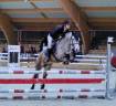 Cavalla Connemara In vendita 2020 Grigio ,  Fairyhill mozart