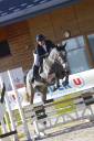 Cavalla KWPN Cavallo da Sport Neerlandese In vendita 2021 Grigio ,  JAZZ
