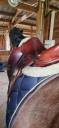 Sella da dressage Devoucoux  18" - 2013