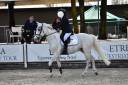 Vendo Pony