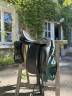 Sella da dressage Prestige Italia  17.5" - 2021
