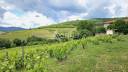 Azienda viticola / Vigneto In vendita Rhône
