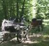 Attacchi - Altro attacco - Altra marca -  
