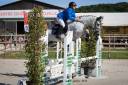 Cavalla Sella Francese In vendita 2018 Grigio ,  Donatello du Bailly – SF