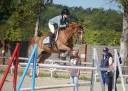 Castrone PFS Pony Francese da Sella In vendita 2013 Sauro brulé ,  Créole D'Angrie