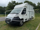 Van per Cavalli AP Petit Fiat Ducato 2015 Occasione