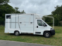 Van per Cavalli AP Petit Fiat Ducato 2014 Occasione