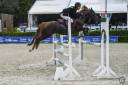 Stallone PFS Pony Francese da Sella In vendita 2013 Crine lavato ,  ulk d'été