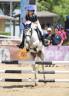 Pony italiano da salto