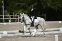 Pony sportivo italiano di 13 anni (h137)