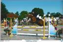 Cavalla Welsh Poney (Sezione B) Noleggio 2015 Sauro ,  IRAM D' AUDES WB