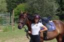 Cavalla Sella Francese In vendita 2020 Baio ,  dexter du neuhof (oes)